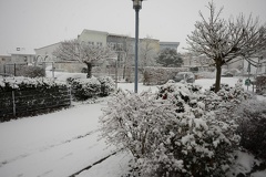 First Snow 2012a